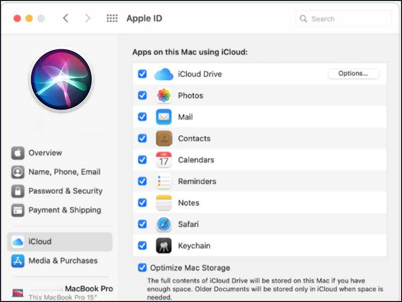 Chọn tất cả các dữ liệu cần thiết để sao lưu trên iCloud