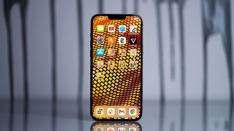 Cả hai d&ograve;ng iPhone đều sở hữu m&agrave;n h&igrave;nh &ldquo;tai thỏ&rdquo; đặc trưng 