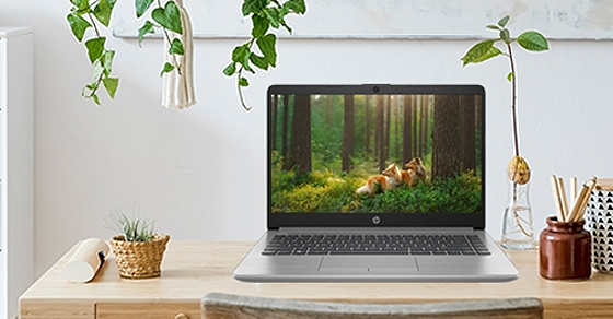 Laptop HP 245 G8 R5 có tốt không? Cấu hình mạnh không? Ai nên mua?