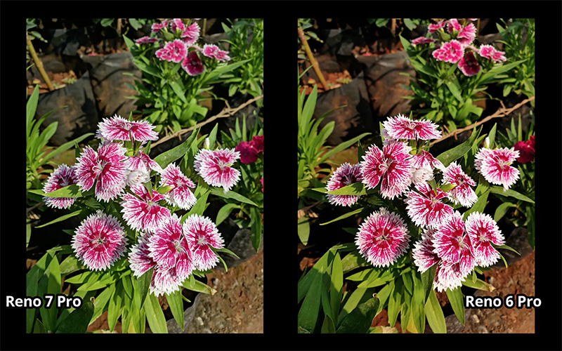 Ảnh chụp từ OPPO Reno7 Pro (tr&aacute;i) v&agrave; OPPO Reno6 Pro (phải)