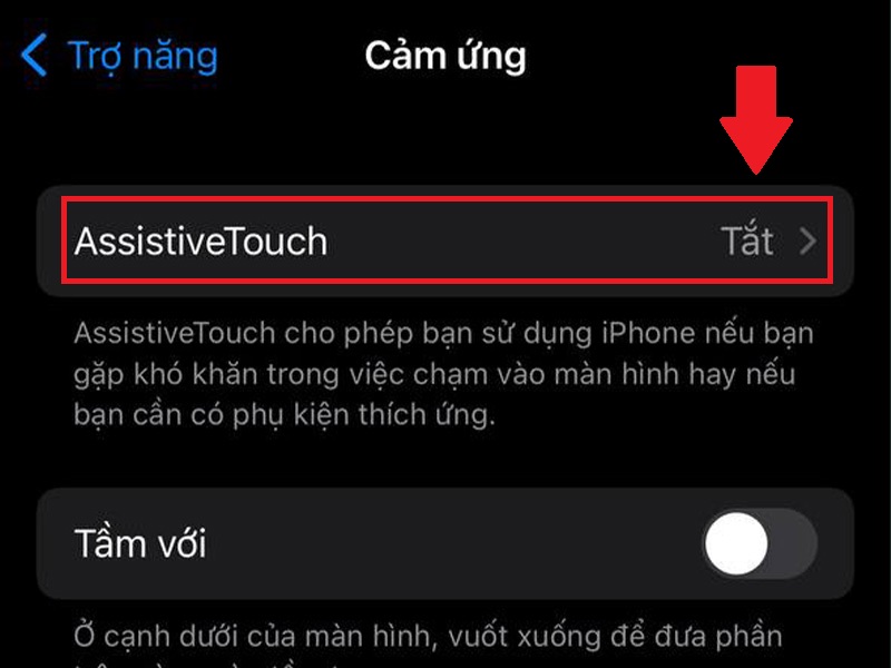 Bước tiếp theo hãy bật AssistiveTouch