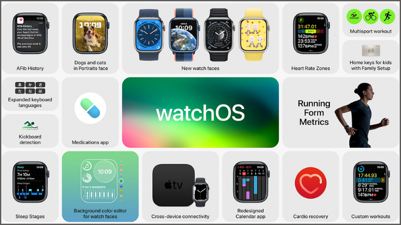 WatchOS 9 và Apple Watch hỗ trợ: \