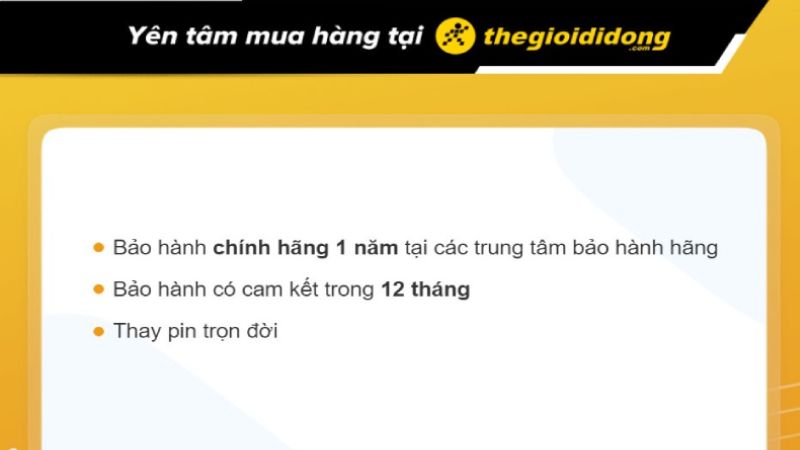 Chính sách bảo hành hấp dẫn khi mua đồng hồ tại cửa hàng AVAJi của TGDĐ