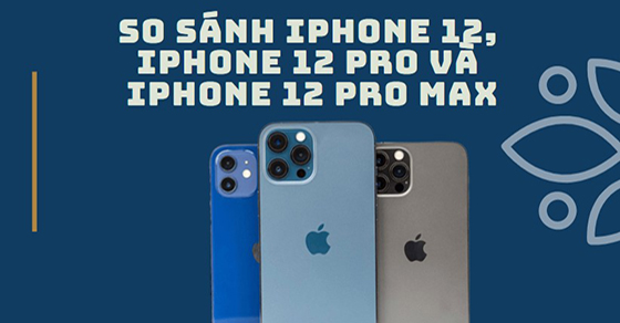 So sánh các phiên bản iPhone 12, iPhone 12 Pro và iPhone 12 Pro Max - Thegioididong.com