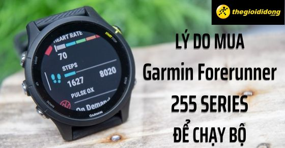 Những lý do nên mua đồng hồ Garmin Forerunner 255 series để chạy bộ