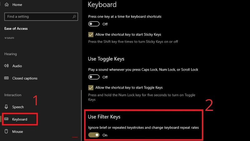 Bật chế độ ON ở Use Filter Keys