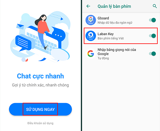 Bước 2: Chọn Sử dụng ngay và bật Laban Key lên.