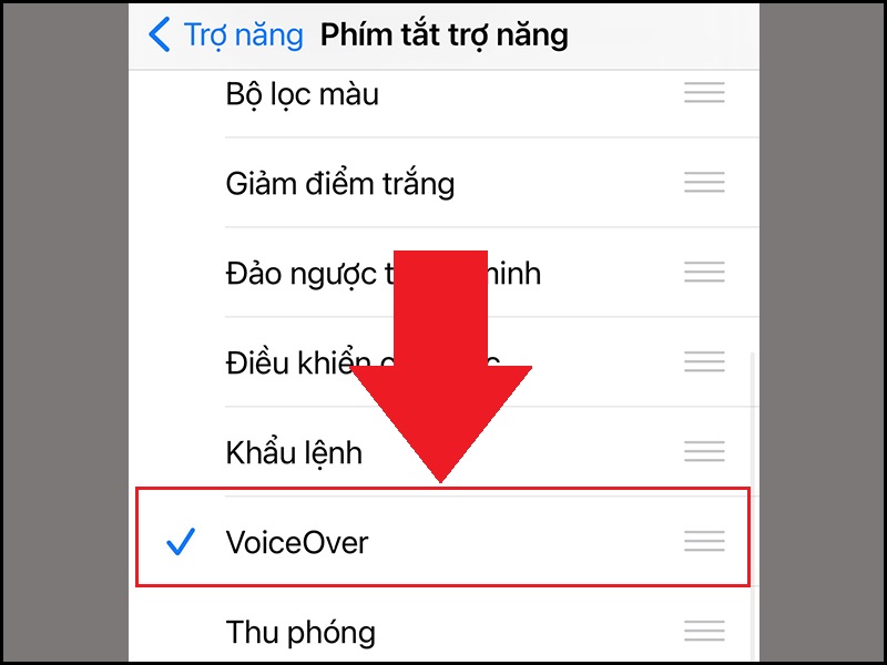 Đặt chế độ bấm 3 lần nút Home sẽ bật/tắt VoiceOver
