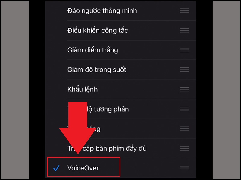 Đặt chế độ bấm 3 lần nút nguồn sẽ bật/tắt VoiceOver