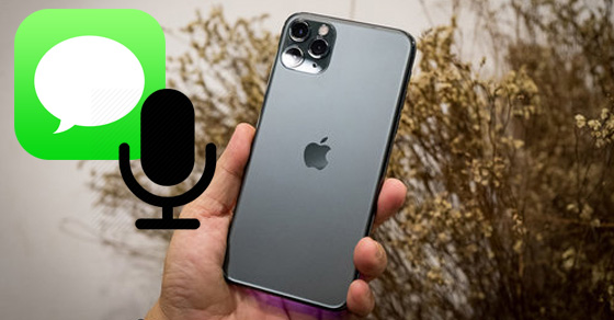 8 Bước nhắn tin bằng giọng nói Tiếng Việt trên iPhone/ iPad