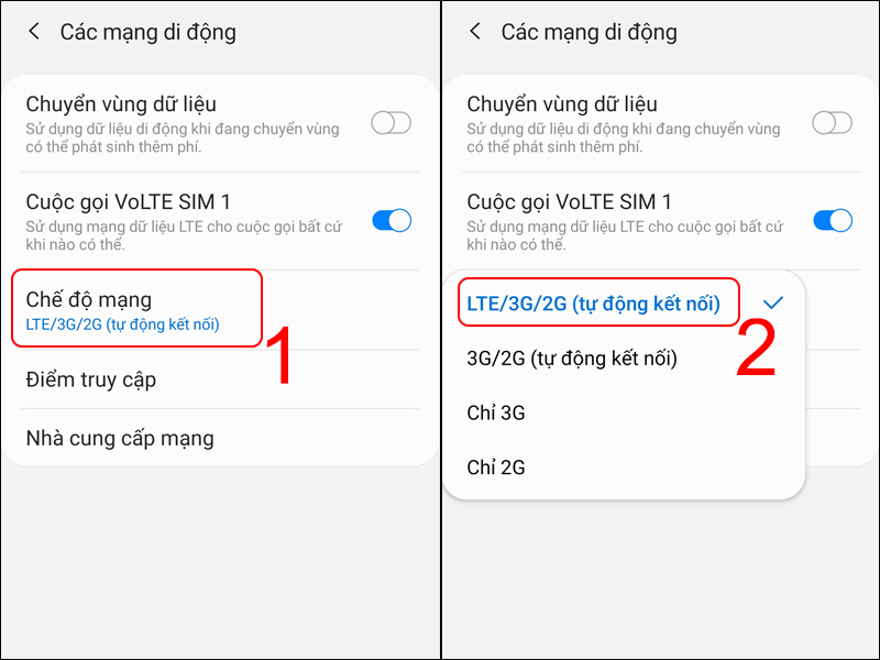 Chọn Chế độ mạng và nhấn vào LTE/3G/2G