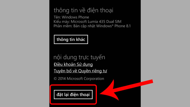 Chọn đặt lại điện thoại của bạn