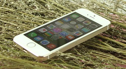 Hướng dẫn cài hình nền cho điện thoại iPhone