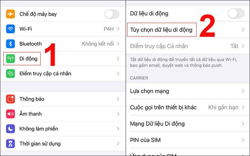 Chọn mục Tùy chọn dữ liệu di động