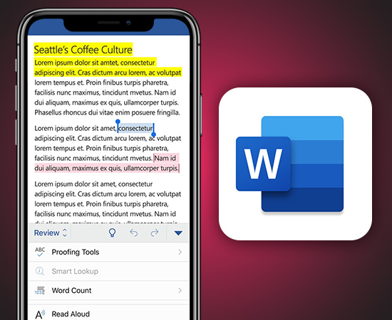 Microsoft Word
