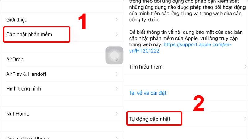 Nhấn vào Cập nhật phần mềm và chọn Tự động cập nhật