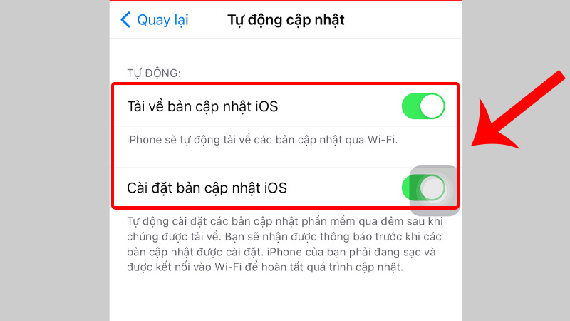 Lựa chọn tự động tải về và cài đặt các bản cập nhật
