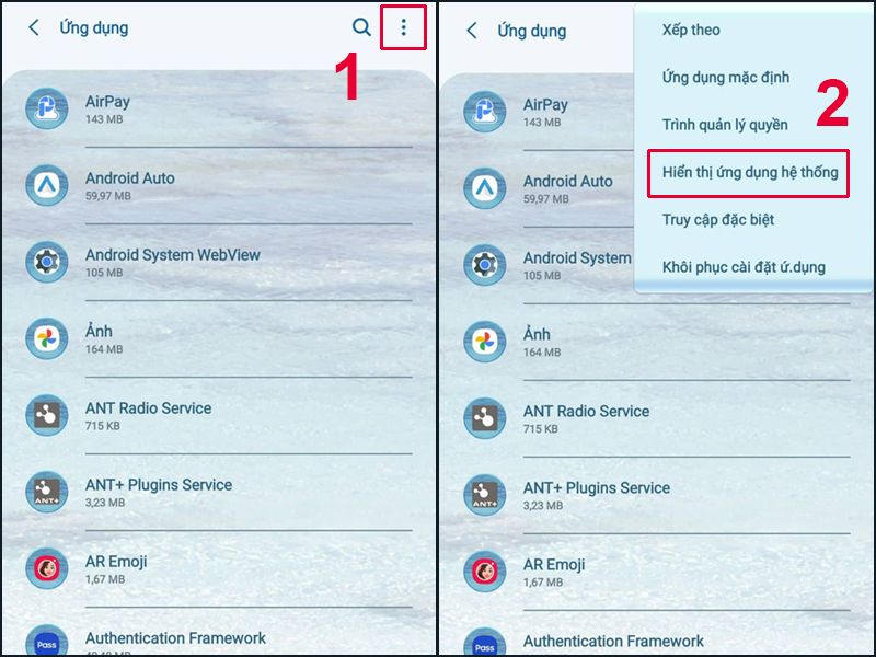 Chọn Hiển thị ứng dụng hệ thống để tìm Không gian nhớ của Media