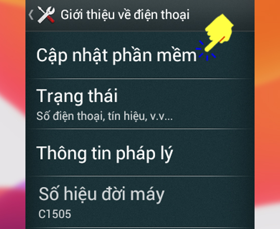 Bước 3: Sau đó bạn hãy bấm vào Cập nhật phần mềm.