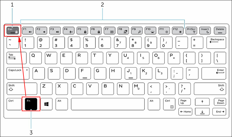 Bấm tổ hợp phím Fn + Esc