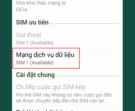 Bước 2: Chọn mục Mạng dịch vụ dữ liệu và chọn SIM bạn sẽ sử dụng mạng 3G.