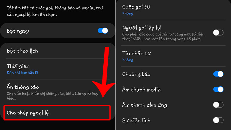 Nhấn Cho ph&eacute;p ngoại lệ v&agrave; thiết lập theo nhu cầu của bạn