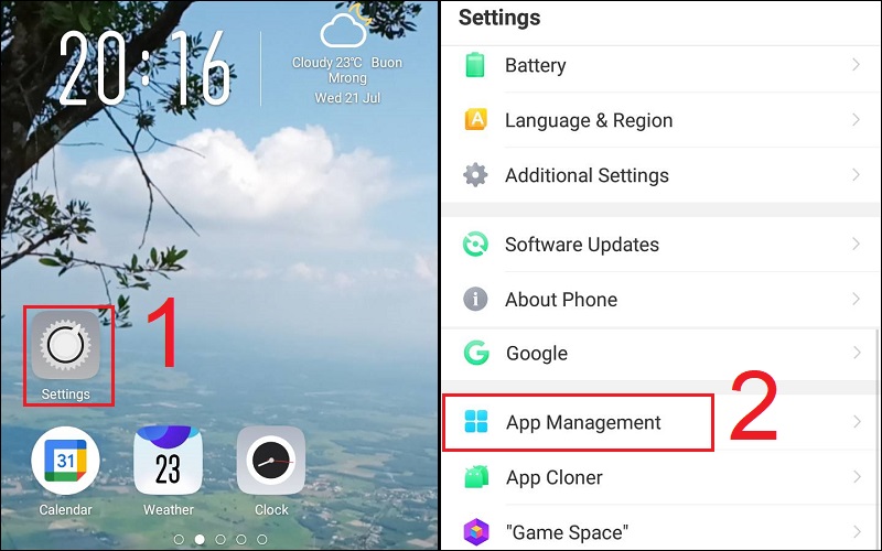 Chọn mục App Management trong ứng dụng Settings