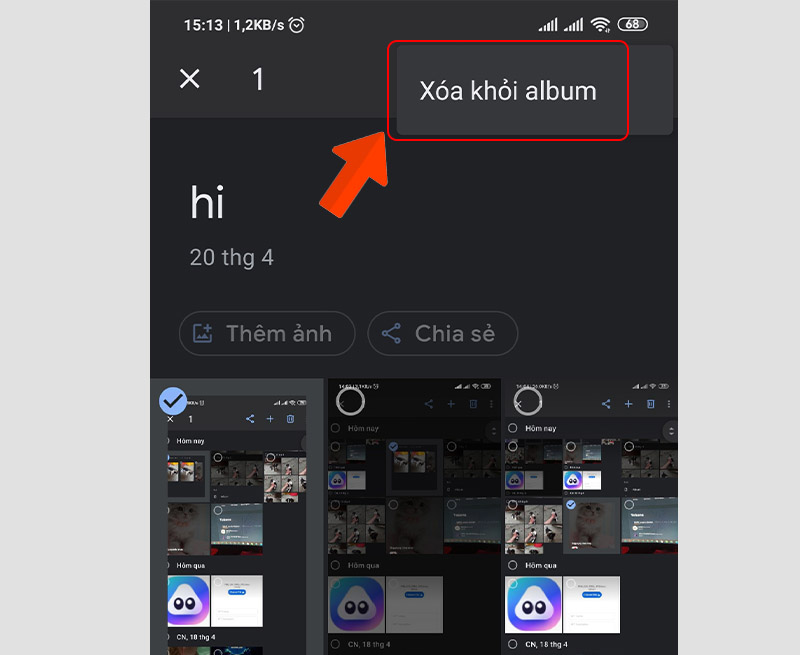 Chọn Xóa khỏi album