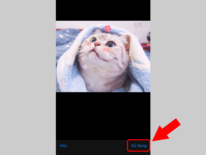 Nhấn Sử dụng để th&ecirc;m ảnh đại diện mới tr&ecirc;n Tango