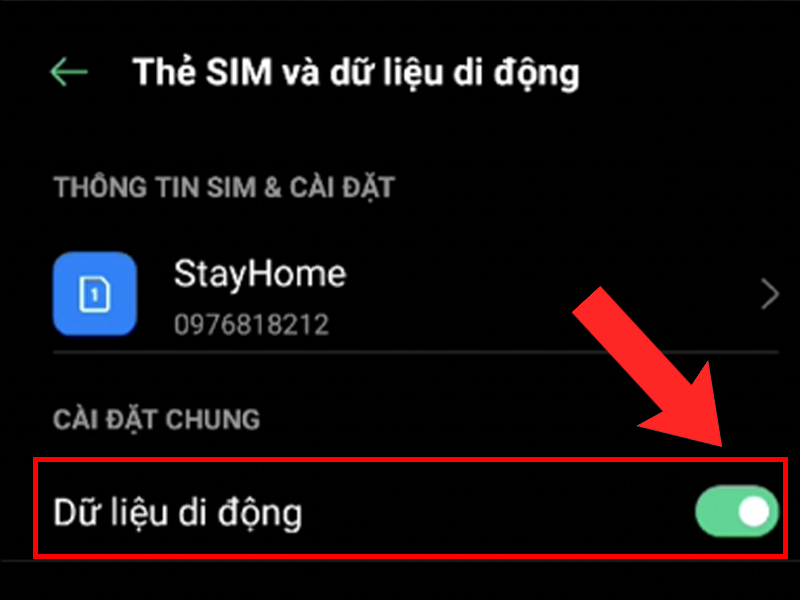 Bật Dữ liệu di đông