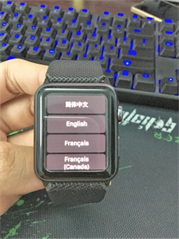 Mở Apple Watch l&ecirc;n ch&uacute;ng ta thiết lập Ng&ocirc;n Ngữ