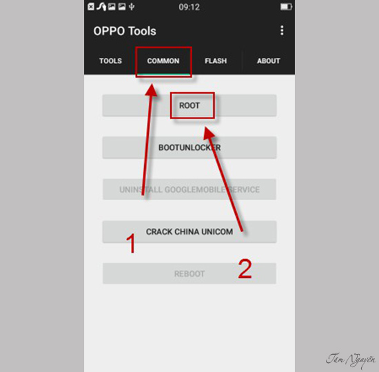Chọn vào tab Common và chọn Root