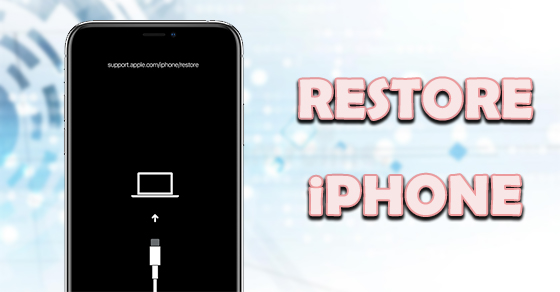 Restore iPhone là gì? Hướng dẫn restore iPhone bằng iTunes đúng cách |  ProCARE24h.vn