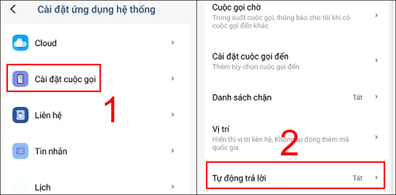 Chọn Cài đặt cuộc gọi và chọn Tự động trả lời