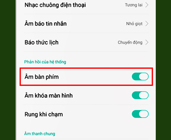 Bước 3: Sau khi thực hiện bước 2, bạn sẽ thấy Âm bàn phím và hãy tắt nó đi.