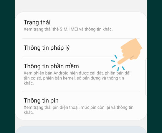 vào Thông tin phần mềm