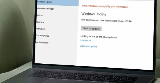 windows update managed by system administrator