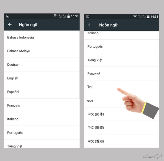 Chọn ngôn ngữ của bạn