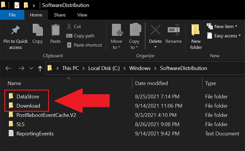 Xóa các thư mục con trong 2 thư mục DataStore và Download