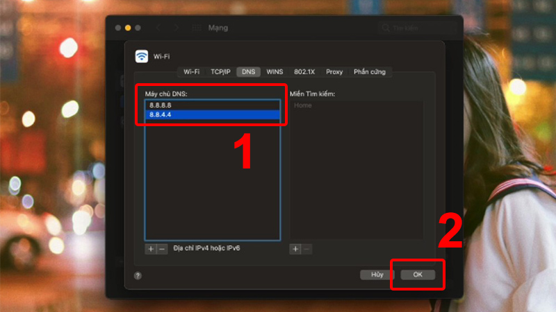 Thêm 2 dòng DNS là 8.8.8.8 và 8.8.4.4 và chọn OK