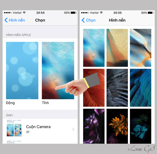 Hướng dẫn tải hình nền iPhone 12 về iPhone 11 Pro Max, iPhone 8, 8+