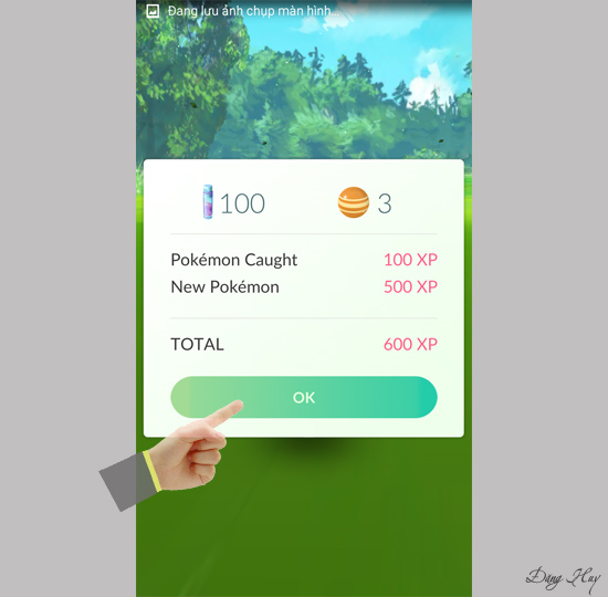 Chi tiết thông tin của Pokemon thu phục được
