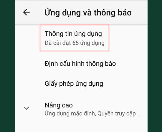 Bước 2: Chọn Thông tin ứng dụng.