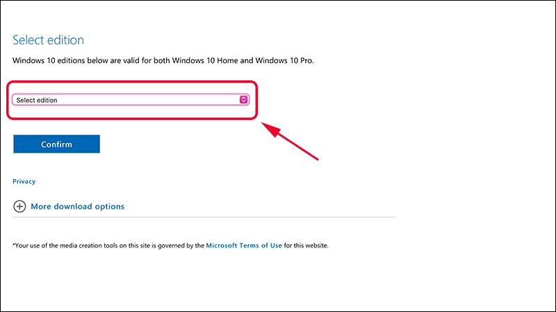 Bạn có thể chọn phiên bản Windows tại mục Select edition