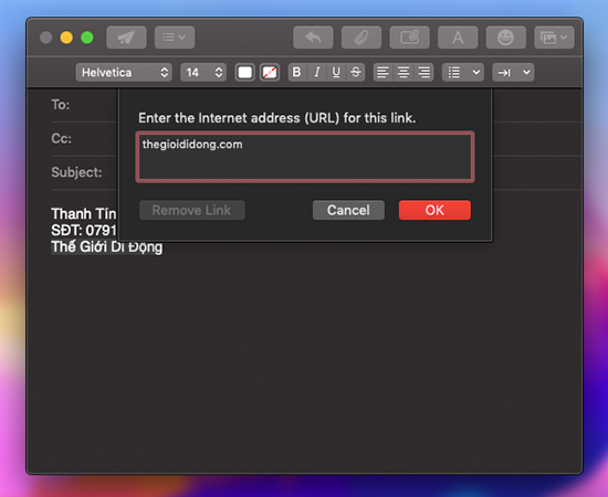 Sau đó các bạn sao chép link và dán và ô  
