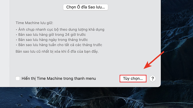 Nhấn v&agrave;o T&ugrave;y chọn để th&ecirc;m t&iacute;nh năng cho Time Machine