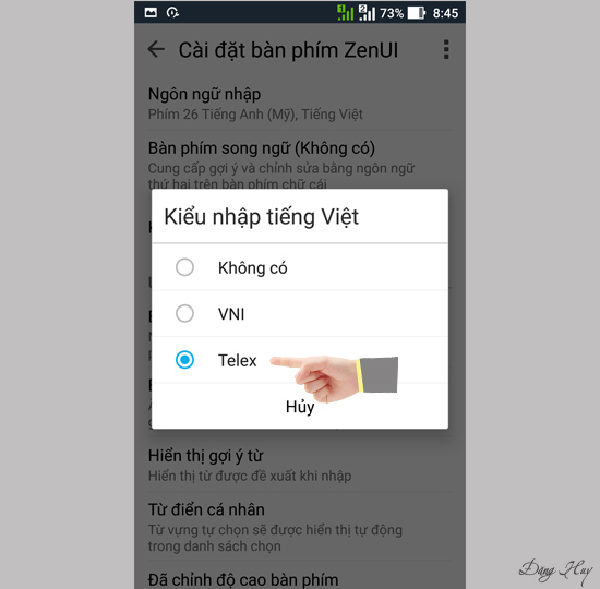 Chọn kiểu nhập yêu thích: VNI, Telex.