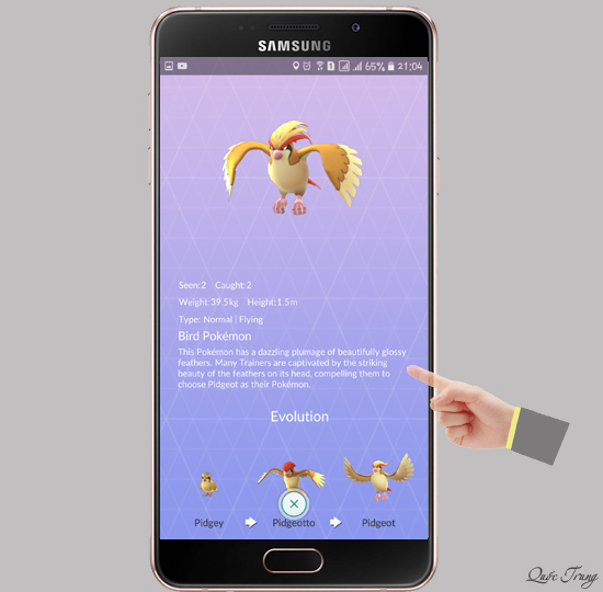 Các thông tin về Pokemon của bạn được hiển thị như trên hình.