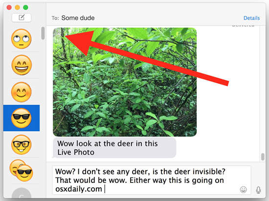 icon hình tròn trên góc ảnh để nhận biết đó là Live Photo.