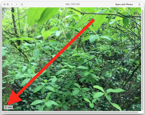 Nháy đúp chuột vào ảnh để xem.